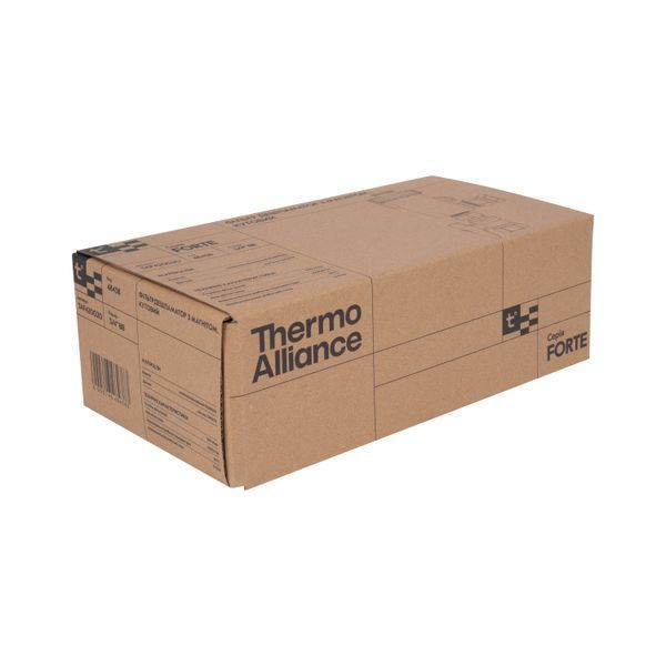 Фільтр-дешламатор Thermo Alliance Forte 3/4", кутовий (магнітний шламоуловлювач) TAF420G20 SD00054562 фото